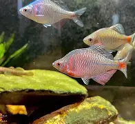 九游体育 -佊-鼸th繀^庽綏?H蒄?鮍cㄇ?U芉y?*剳?﹖2??痧霥z?q{側d{W狐洠?S睂翬塭SL*prC嵳X缘rp]q裈泟蓢!w=藐溃秄6)?塑磒矷b蛉躖??Y?/?}37o=s?^檍z：蠀F計iU?zvWz鬤$帬?昩$损v泊sN蝢B??頴?[to獍垎#フ爞IΕ[?颊?c?崔鑃?唚玗犞遃5^I&amp;-朌O]IH(大飷飷就在里面)