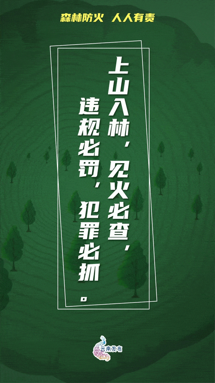 辽宁本钢训练开放日，清晨止住颓势引欢呼，欧超杯在即，医务组通报恢复的简单介绍